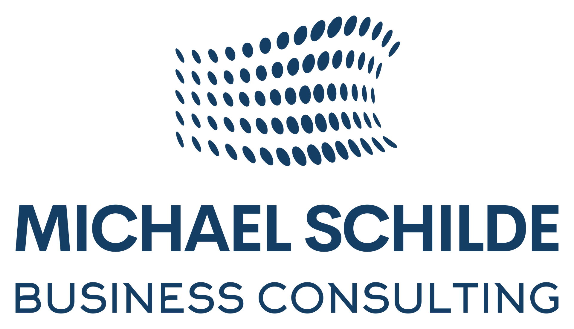Michael Schilde Business Consulting e.U.