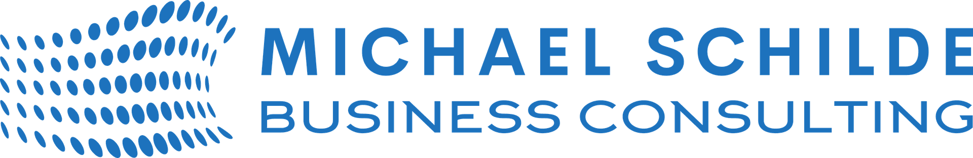 Michael Schilde Business Consulting